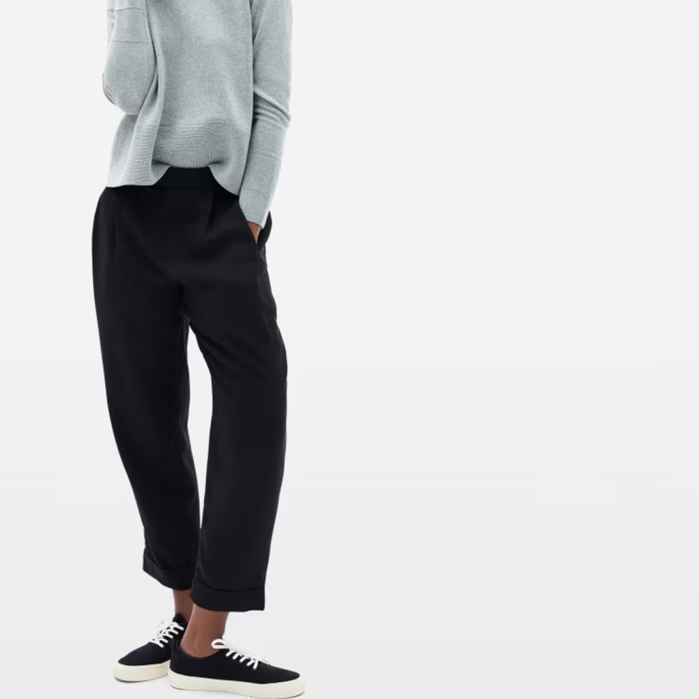 Everlane The Put-Together Pleat Pant